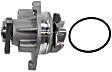 Timing Chain Kit, includes Water Pump