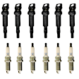 KIT-070224-309 12-Piece Kit Ignition Coil, 12-Piece Kit, Genuine BMW, Includes (6) Ignition Coil and (6) Spark Plug