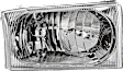 2002-2004 Ford Excursion - 6-Piece Kit Halogen Headlight, Includes (2) Bumper Trim, (2) Corner Light, and (2) Headlight