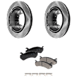Rear Brake Disc and Pad Kit, Plain Surface