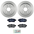 KIT-BS42624-209 2-Wheel Set Rear Brake Disc and Pad Kit, 313 mm, Includes (2) Brake Disc and (1) Brake Pad Set