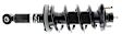 SR4433 Rear, Driver Side Bare Strut, Strut-Plus Series