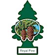 U6P-60101 Royal Pine Air Freshener, Set of 6