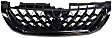 Grille Assembly, Painted Black Shell and Insert