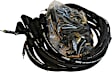 5553 8.0mm Street Fire Series Spark Plug Wire, Set of 8
