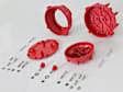 7445 Pro-Cap Cap-A-Dapt Kit, Fits MSD Distributors