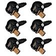 825763 Ignition Coil, Set of 6, Late Model Coil Packs
