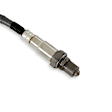 2930 Universal, Atomic, O2 Sensor Wideband