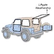 TG 99 Weatherstrip Seal - Tailgate, Direct Fit, Sold individually