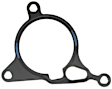 B33353 Vacuum Pump Gasket