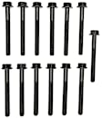 GS33351 Cylinder Head Bolt, Set of 14