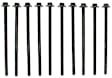 GS33412 Cylinder Head Bolt, Set of 10