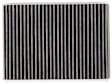 LAK 249 Cabin Air Filter