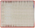 LX 2553 Air Filter