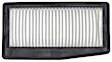 LX 4387 Air Filter