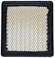 LX 4388 Air Filter