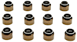 SS46020A Valve Stem Seal - Set of 12