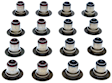 2018 Chevrolet Corvette - Valve Stem Seal, Intake and Exhaust, Sold Individually