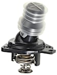 TI 250 78 Mahle OE Replacement Thermostat