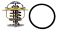 TX 109 87D Thermostat