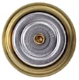 TX 109 87D Thermostat
