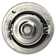 TX 161 82D Thermostat