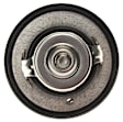 TX 171 82 Thermostat