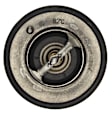 TX 171 82 Thermostat