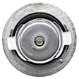 TX 190 82D Thermostat