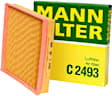 C2493 Air Filter