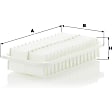 C 2620 Air Filter