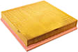 C28191 Air Filter