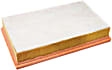 C30153/1 Air Filter