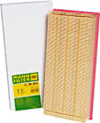 C39201 Air Filter