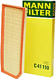 C41110 Air Filter
