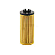 HU 6012 z KIT Engine Oil Filter Kit - Mann 11428593186