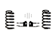 201640 Rear, Driver or Passenger Side Lowering Springs - 4 in., Kit