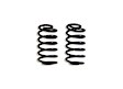271620 Rear, Driver or Passenger Side Lowering Springs - 2 in., Set