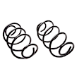 6321 Rear Coil Springs, Set of 2
