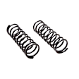 80135 Rear Coil Springs, Set of 2