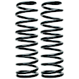 80667 Rear Coil Springs, Set of 2