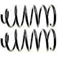 81045 Rear Coil Springs, Set of 2