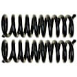 81401 Rear Coil Springs, Set of 2