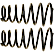 81429 Rear Coil Springs, Set of 2