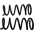 81761 Rear Coil Springs, Set of 2 Problem Solver Series
