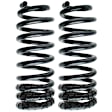 Rear Coil Springs, Set of 2