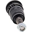 MS60533 Front, Driver or Passenger Side, Lower Ball Joint