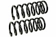 SMS30022 Rear Coil Springs, Set of 2 Supreme Series