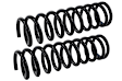 SMS5380 Front Coil Springs, Set of 2 Supreme Series