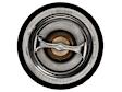 32022446 Thermostat